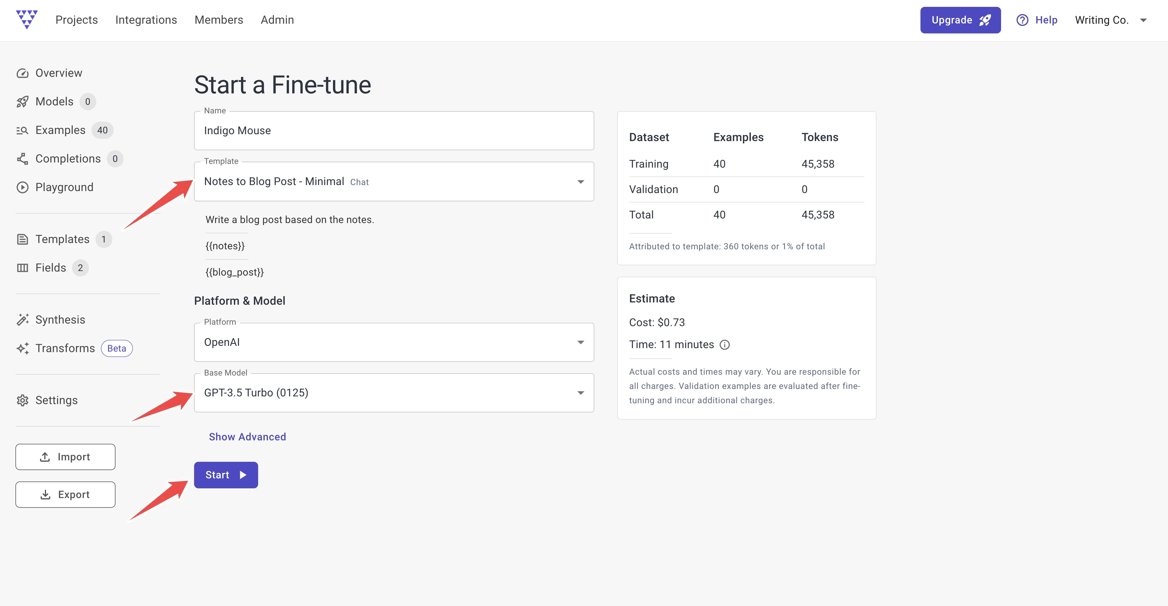 Choose template and model for fine-tuning job